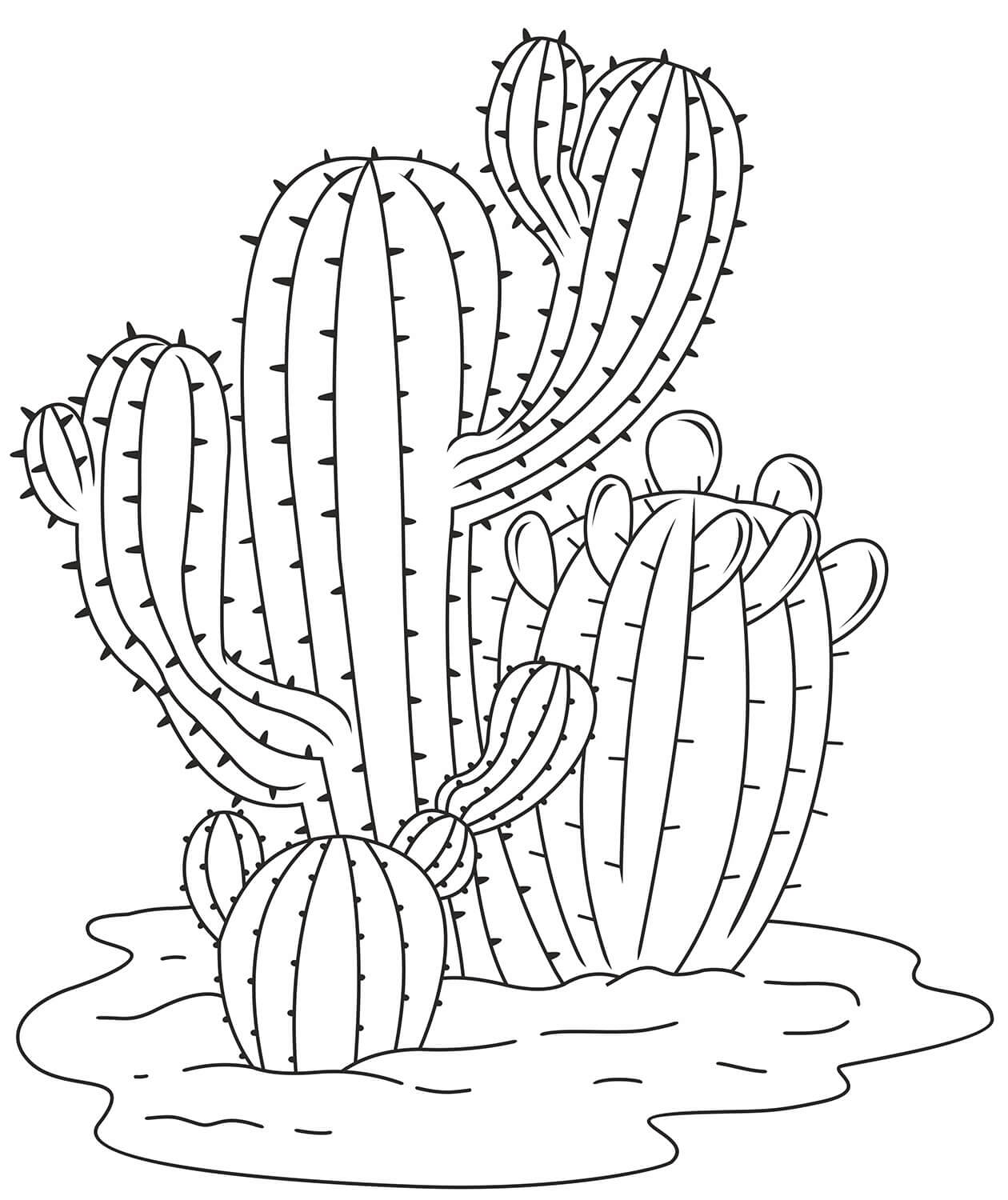 Kolorowanka Prosty Kaktus