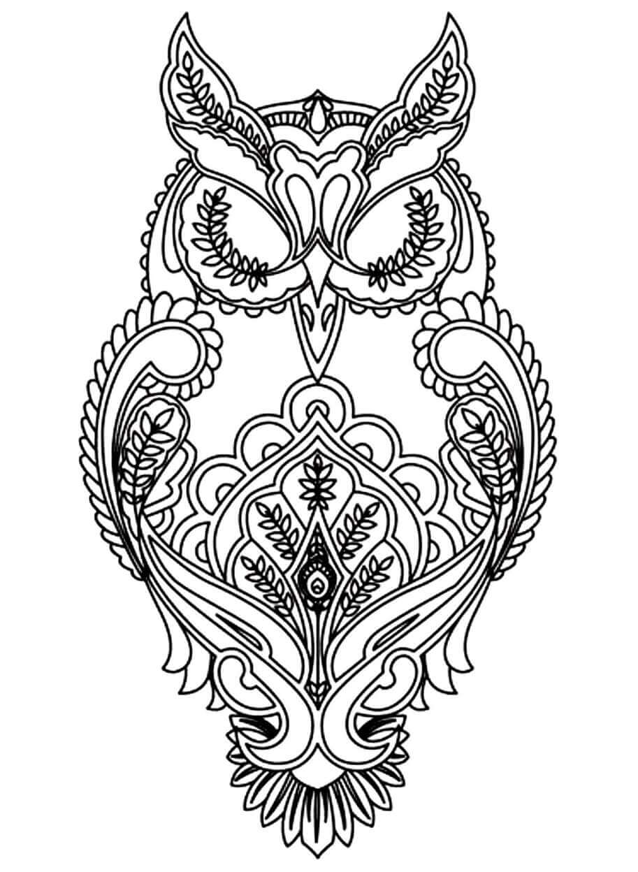 Kolorowanka Printable Owl