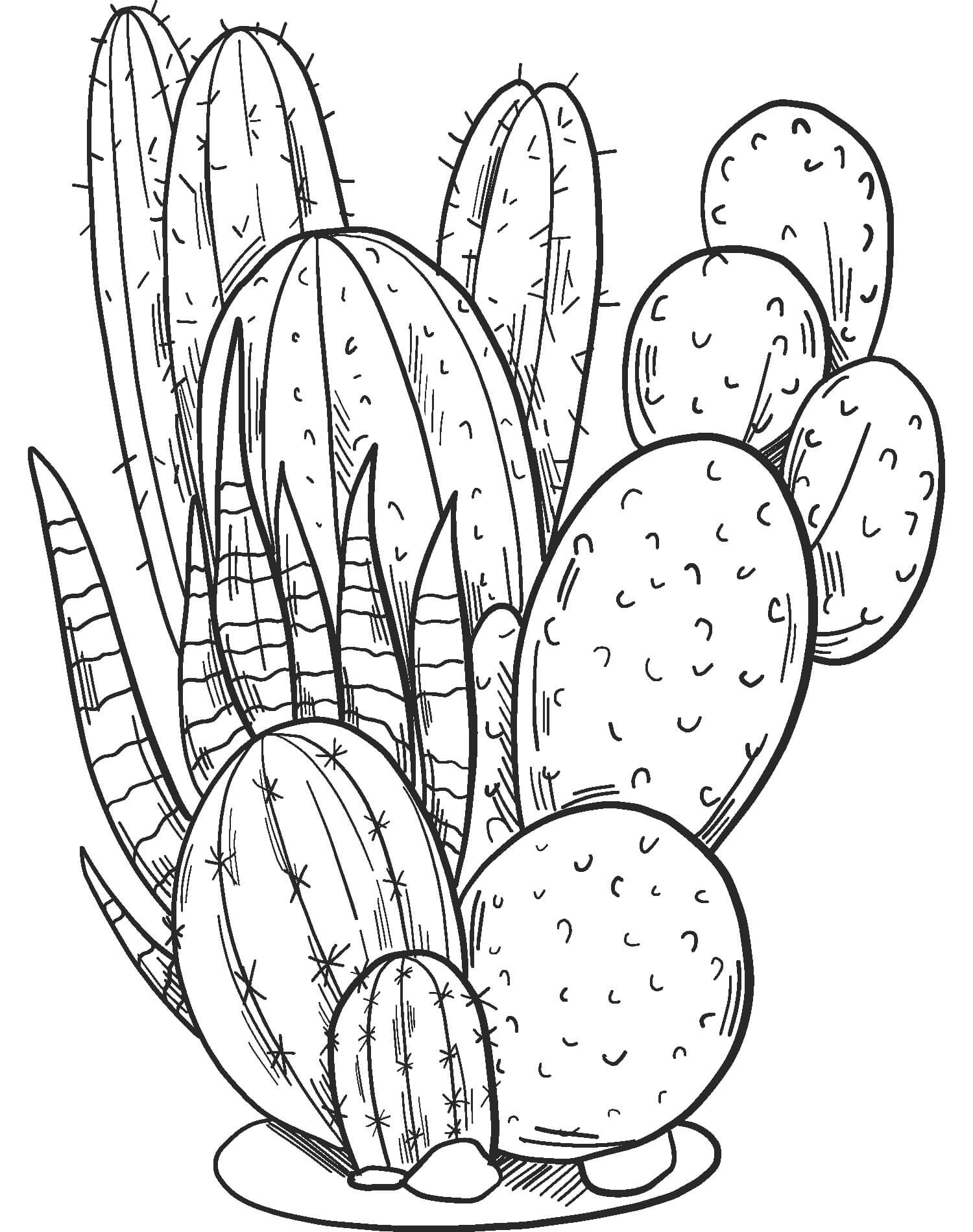 Kolorowanka Świetny Kaktus