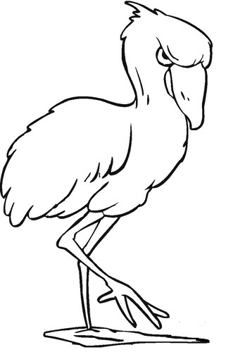 Kolorowanka Kızgın Flamingo