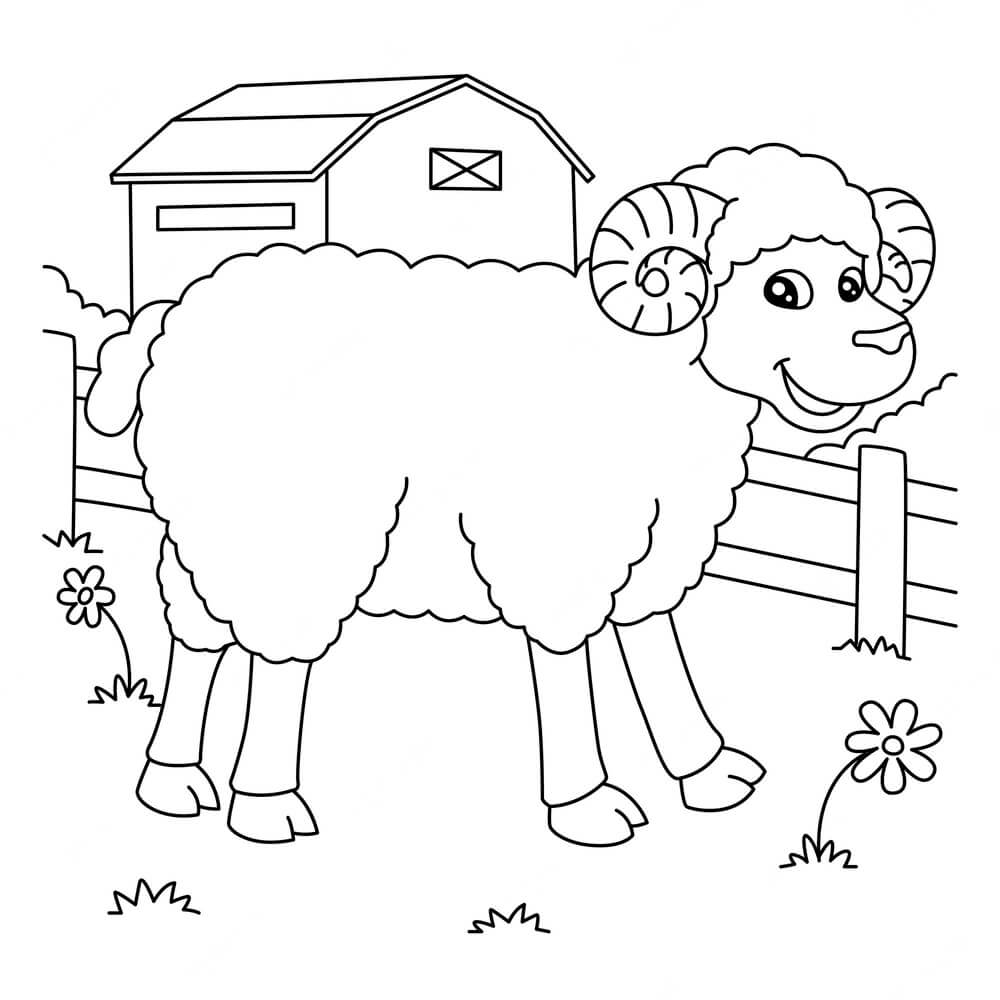 Kolorowanki Zabawne Owce