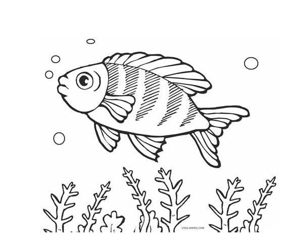 Kolorowanka Bezpłatne drukowanie obrazu ryb