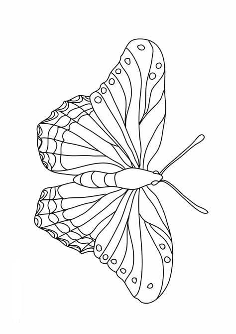 Kolorowanka Bezpłatny obraz motyli