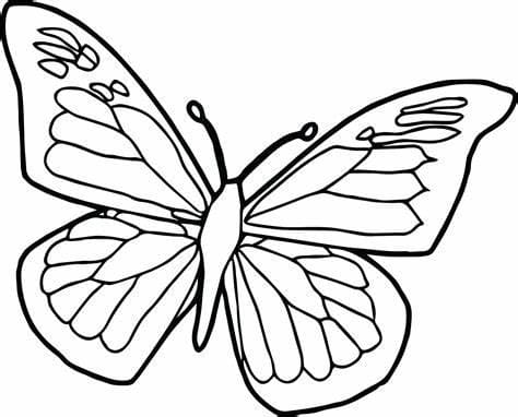 Kolorowanka Bezpłatny zarys obrazu motyli