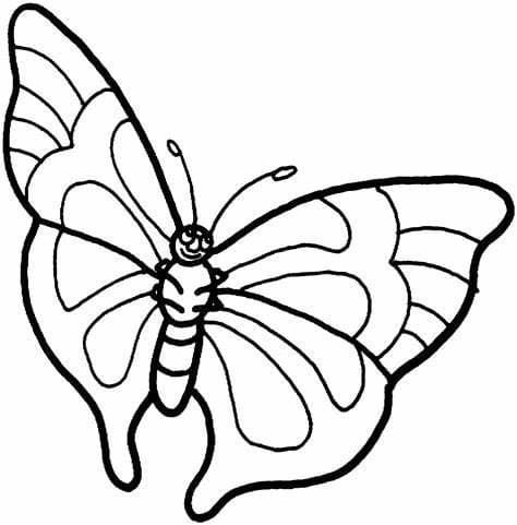 Kolorowanka Zarys motyli