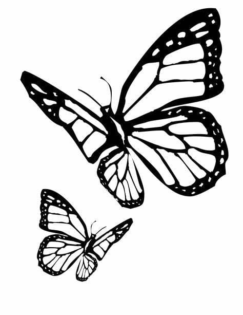 Kolorowanka Zarys obrazu motyli do druku