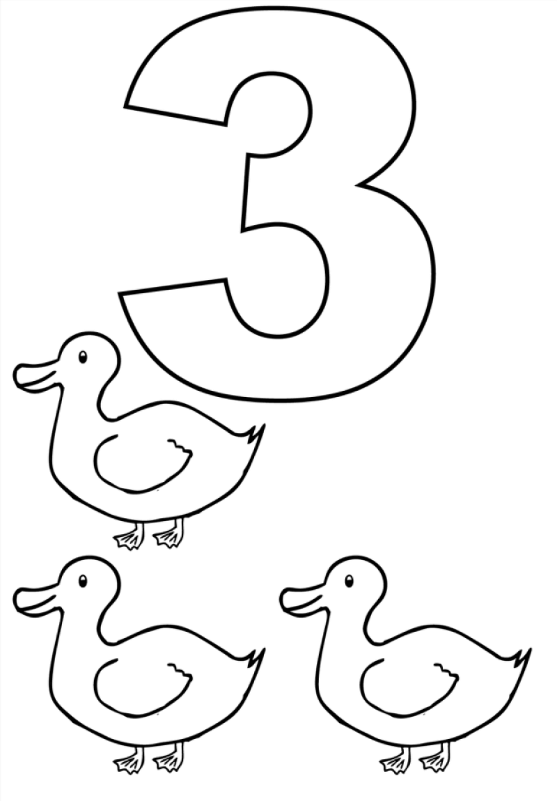 Kolorowanka Numer 3 i 3 kaczki