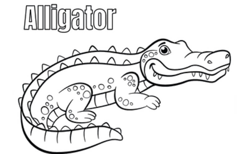 Kolorowanki Śliczny aligator