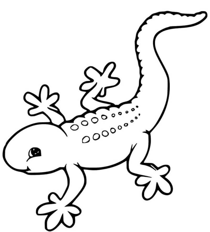 Kolorowanka Ładny gekon