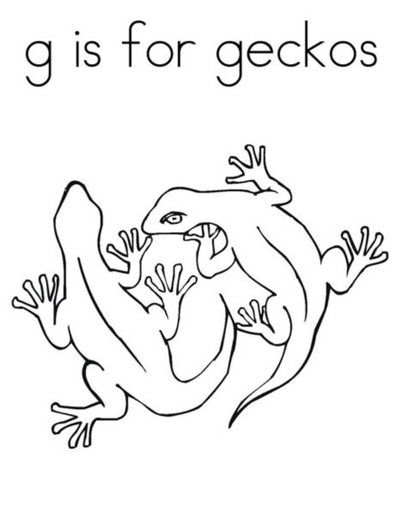 Kolorowanka G jest dla gekonów