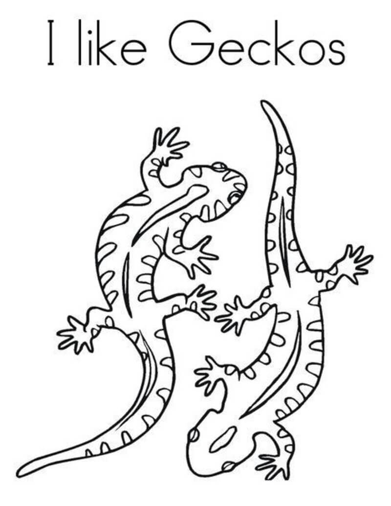 Kolorowanki Lubię Gecko