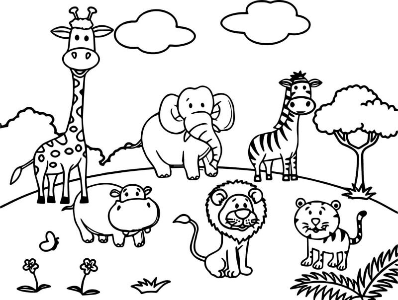 Kolorowanka Zwierzęta dżungli dla dzieci