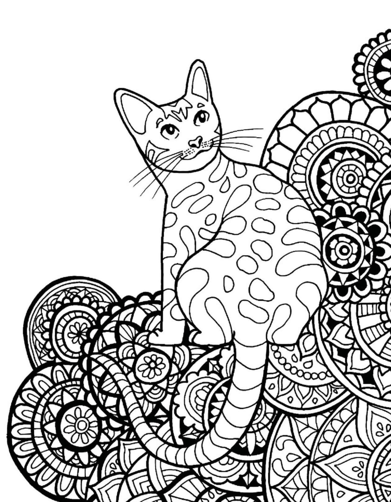 Kolorowanka Kot mandala - arkusz 20