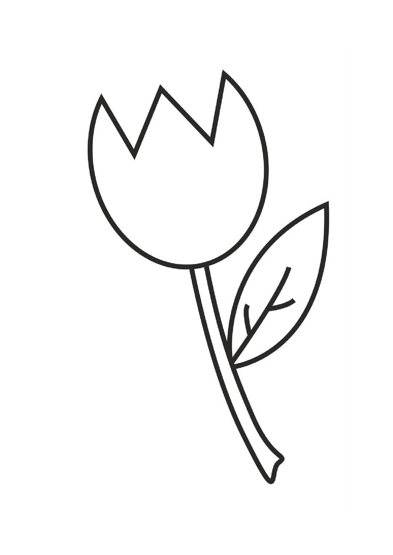 Kolorowanki Łatwy Kwiat Tulipana