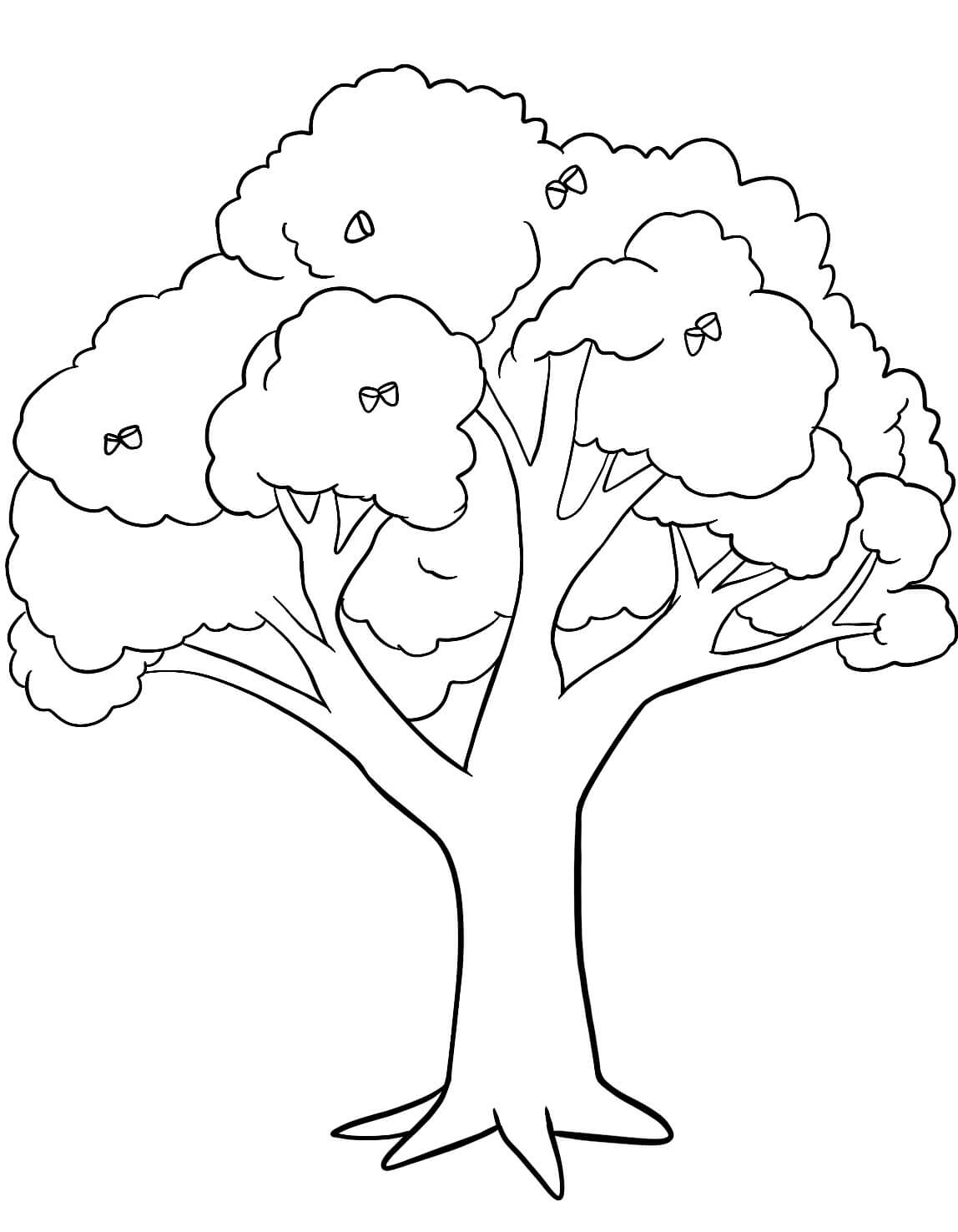 Kolorowanka Podstawowe Drzewo Dębowe