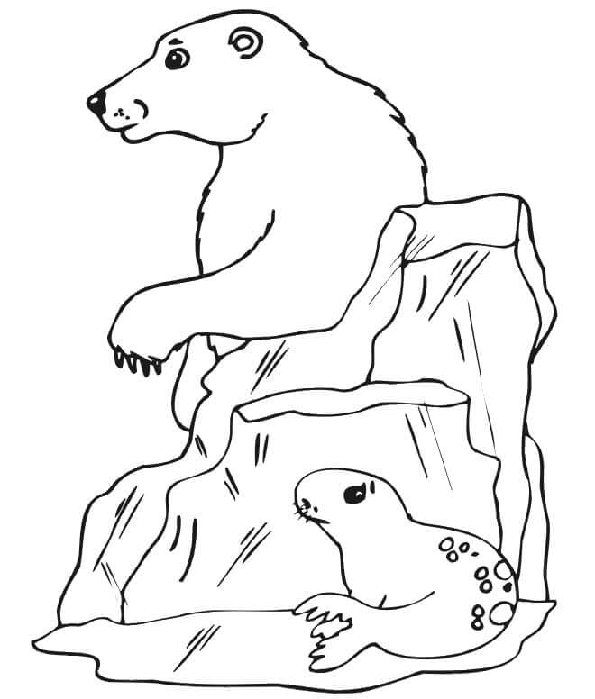 Kolorowanka Dziecko Foki Ukrywa się Przed Niedźwiedziem