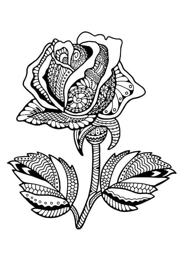 Kolorowanka Róża Antystresowa