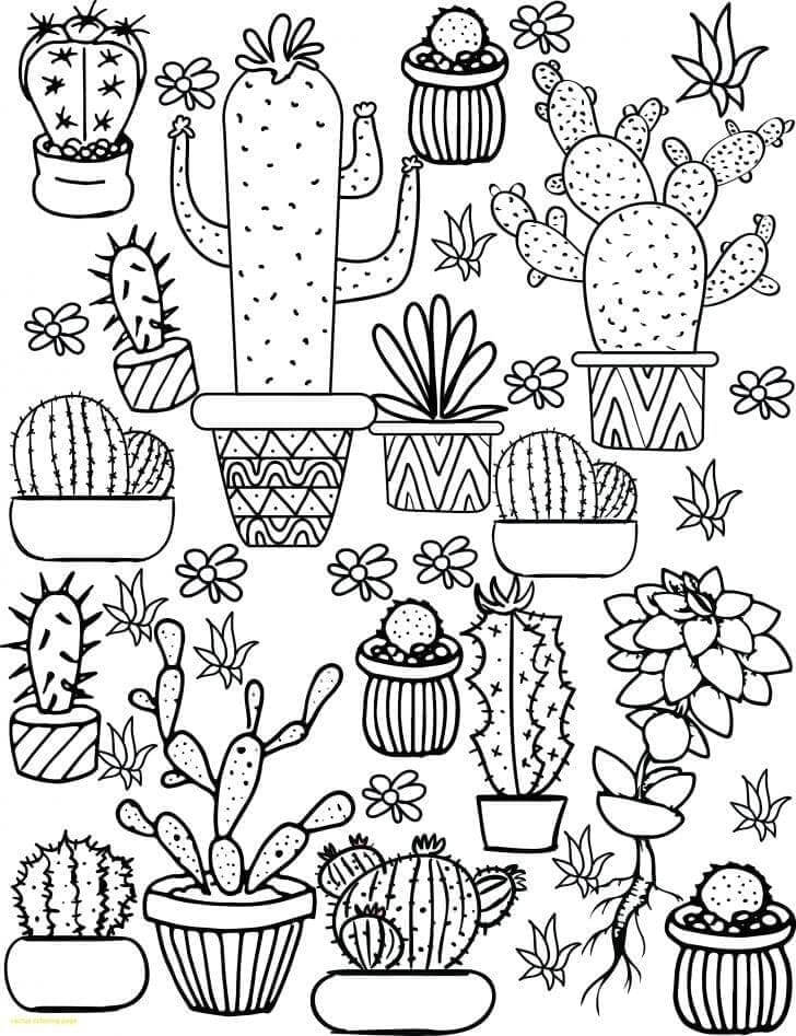 Kolorowanka Rysunki Estetyki Kaktusów
