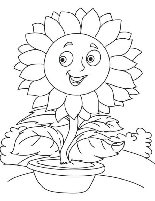 Kolorowanka Śmieszny Słonecznik Rośnie w Garnku na Parapecie