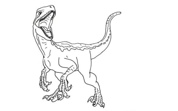 Kolorowanka Welociraptor Jurajski