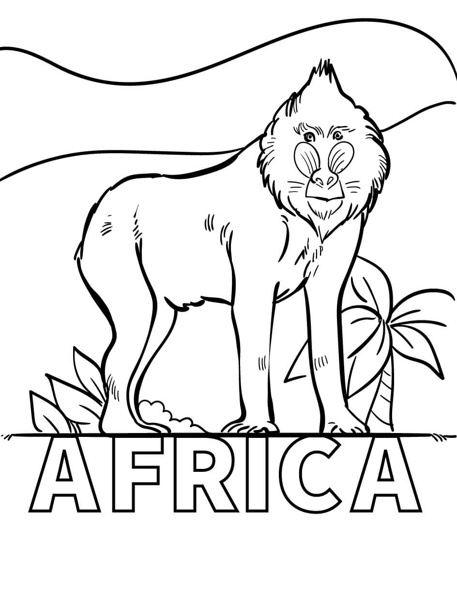 Kolorowanka Afrykańska Małpa
