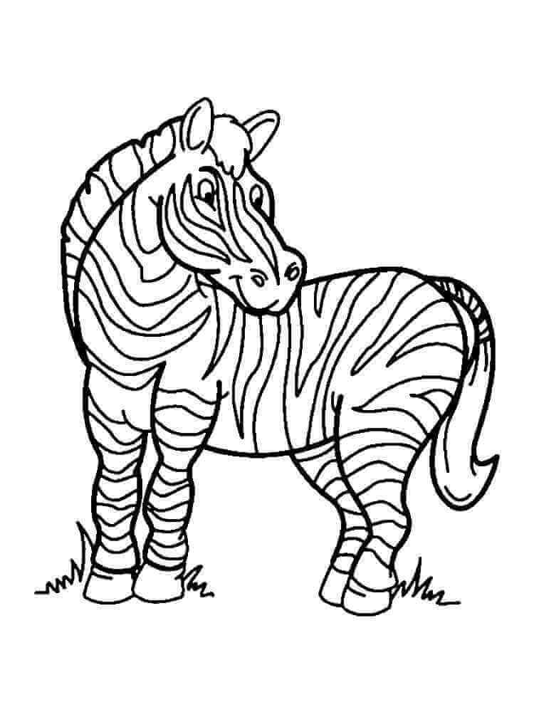 Kolorowanka Afrykańska Zebra