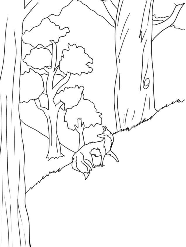 Kolorowanka Lis Spacerujący po Lesie