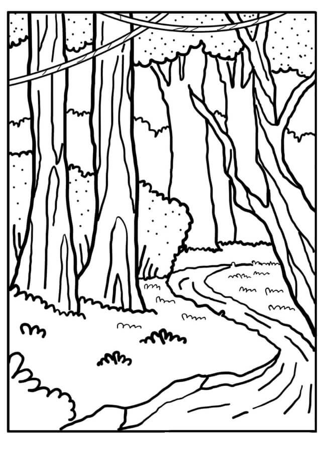 Kolorowanka Mała Rzeka w Lesie