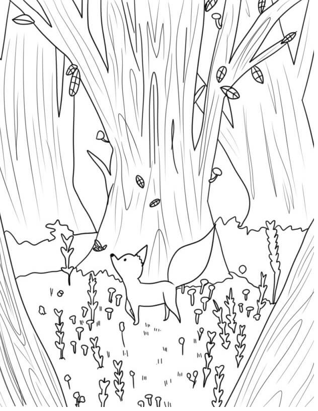 Kolorowanka Młode Lisy w Lesie