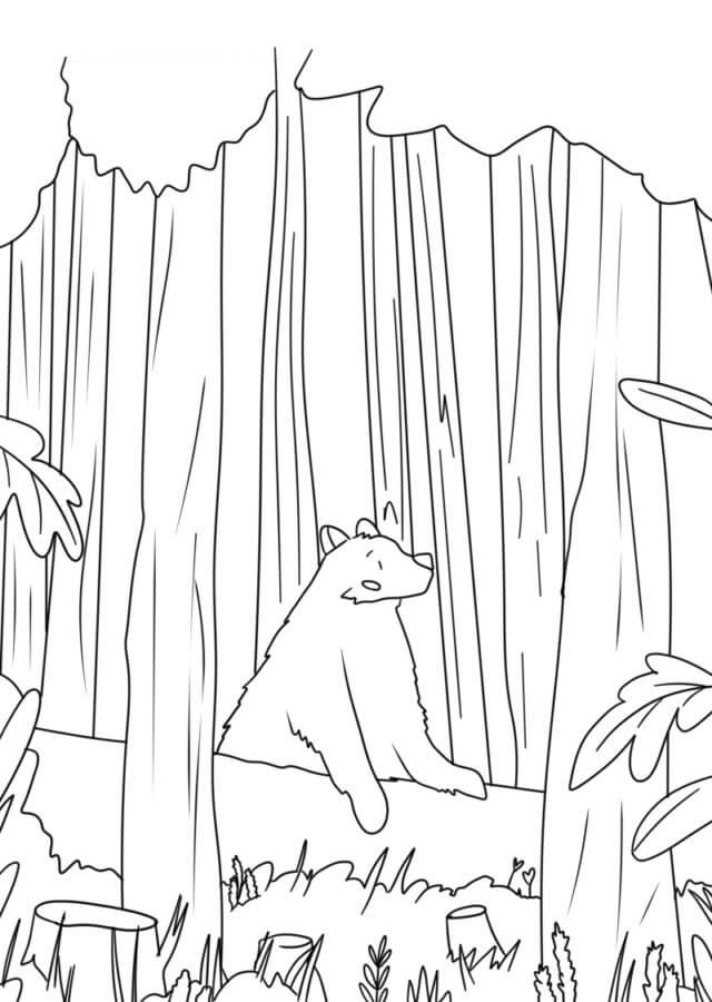 Kolorowanka Niedźwiedź w Lesie