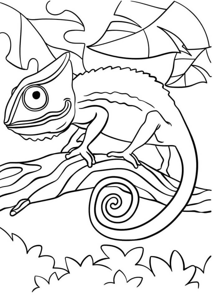 Kolorowanka Podstawowy Kameleon Na Gałęziastym Drzewie z Liśćmi