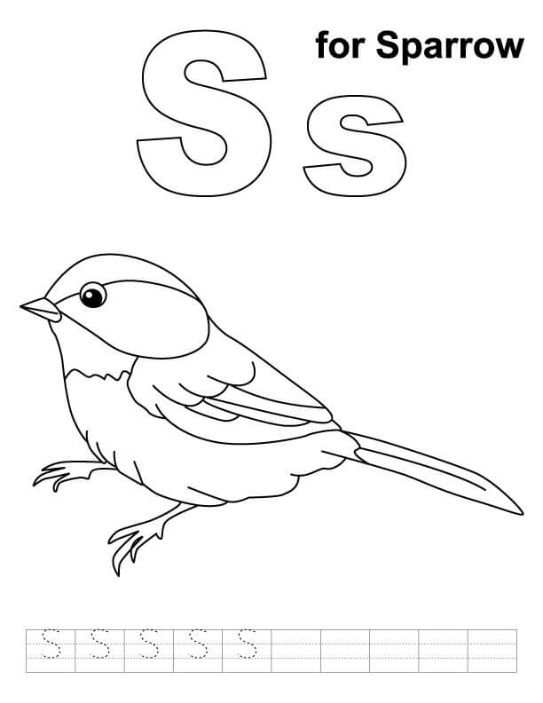 Kolorowanka S For Sparrow