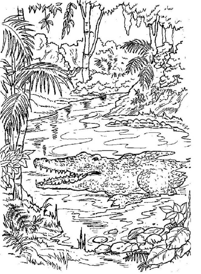 Kolorowanka Toothy Krokodyl w Tropikalnym Lesie