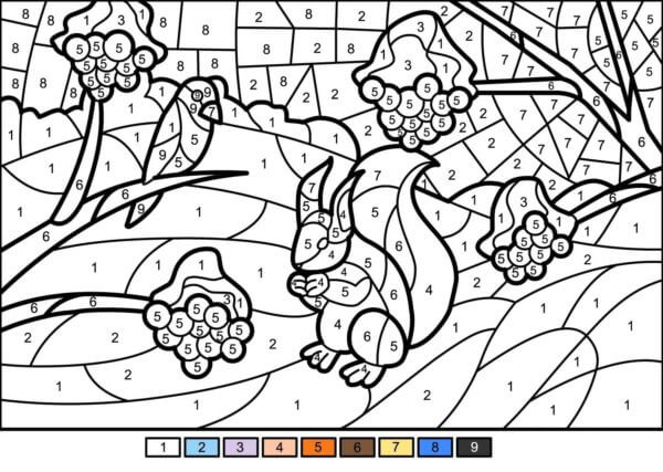 Kolorowanki Wiewiórka Gryzie Orzechy Koloruj Według Numerów