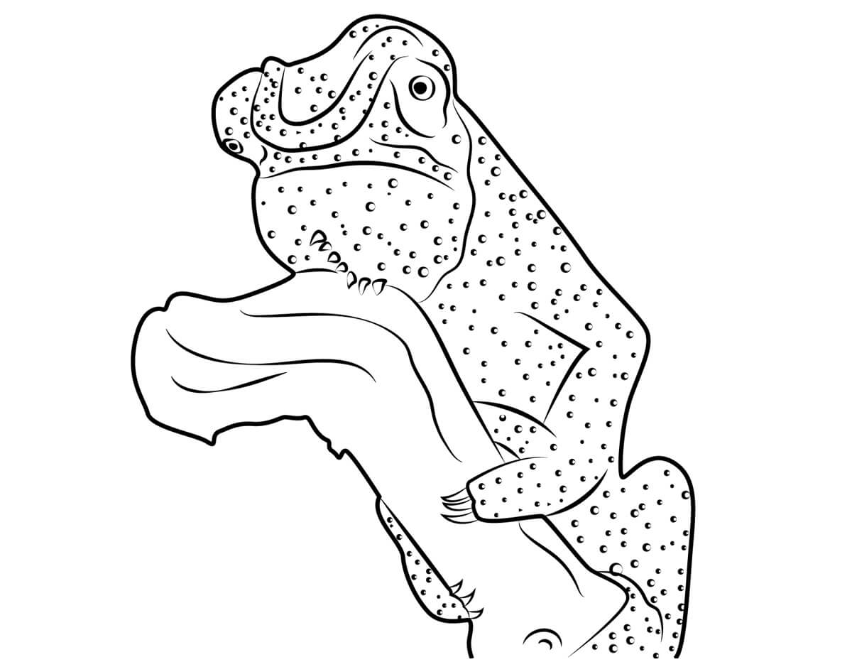 Kolorowanka Zabawny Kameleon z Gałęziastym Drzewem
