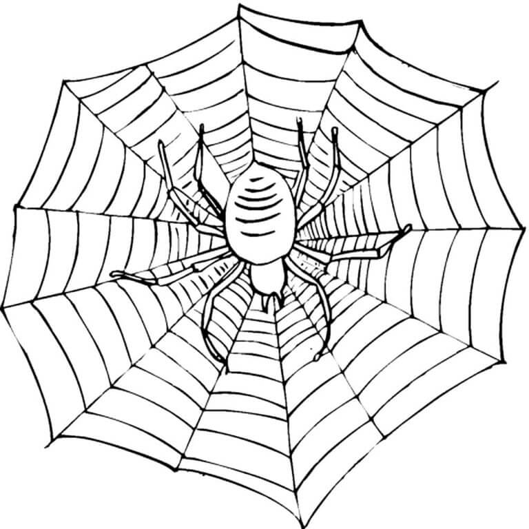 Kolorowanka Ulubionym Zajęciem Spidera Jest Tkanie Sieci