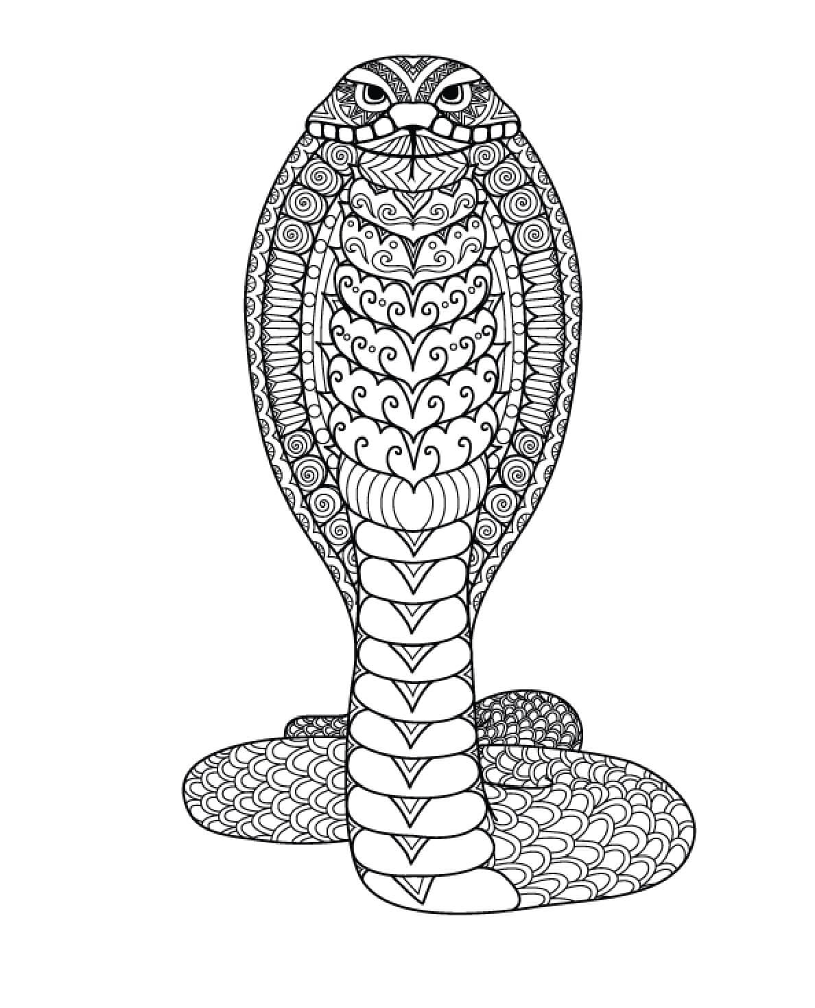 Kolorowanka Mandala Fajny Wąż