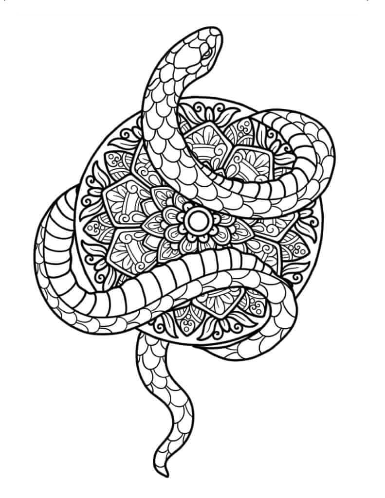 Kolorowanka Mandala Idealny Wąż