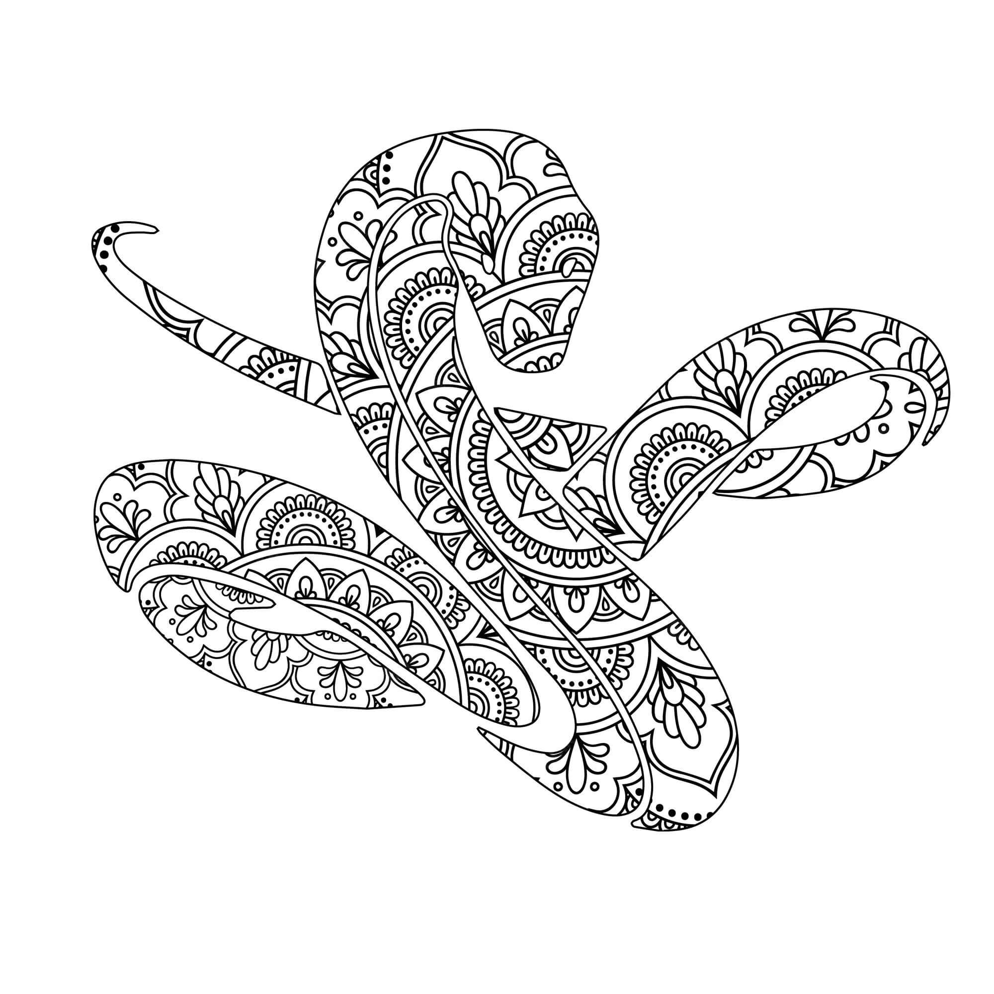 Kolorowanka Mandala Niesamowity Wąż