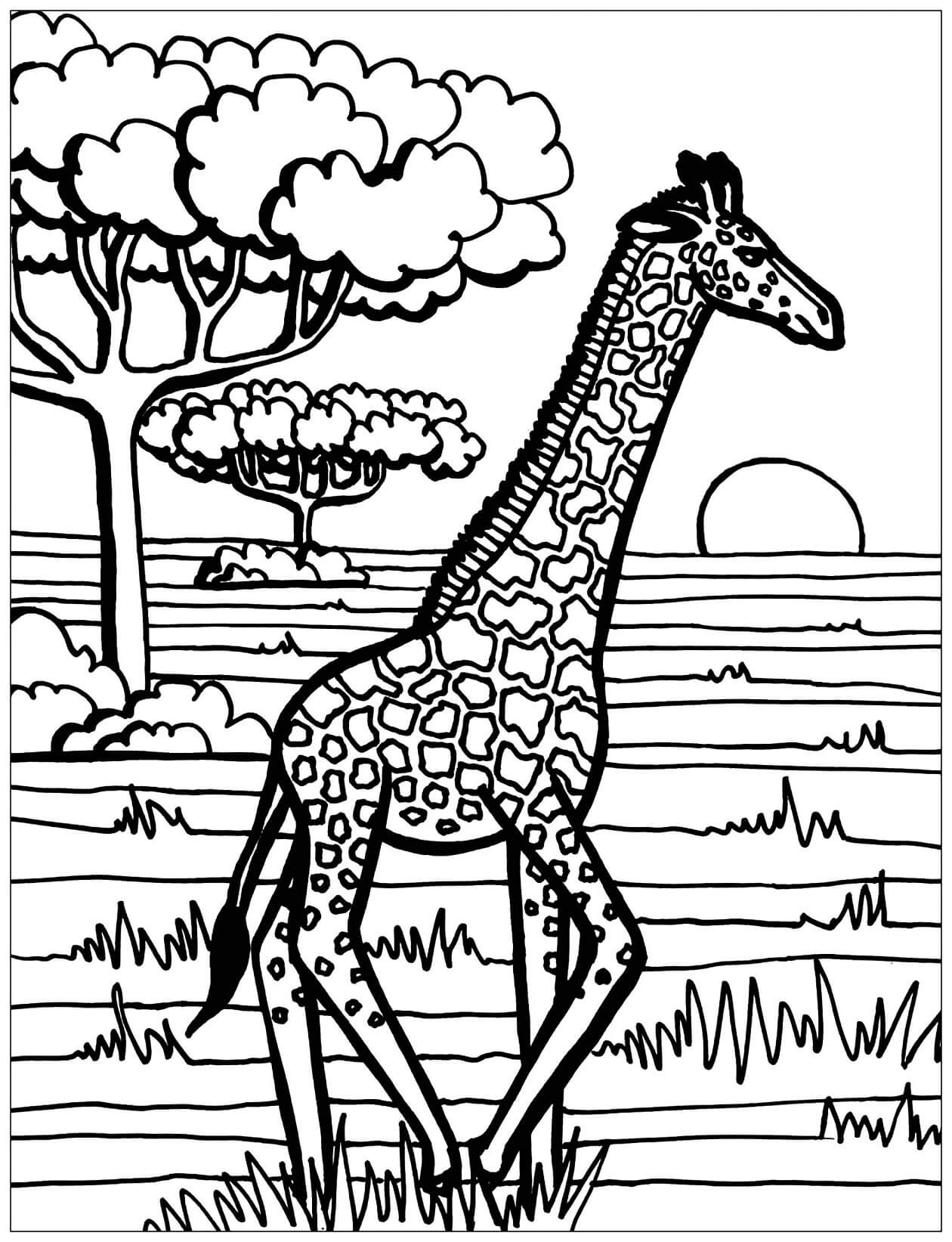 Kolorowanka Mandala Podstawowe Chodzenie żyrafy