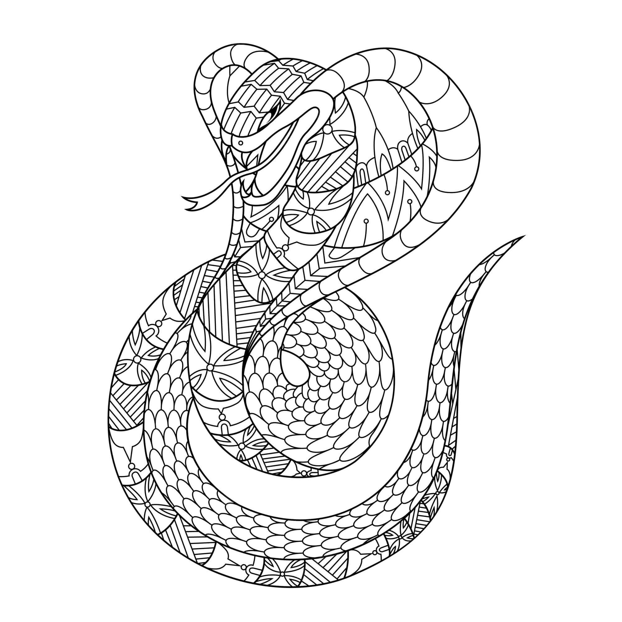 Kolorowanka Mandala Prosty Wąż