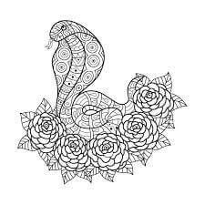 Kolorowanka Mandala Wąż Z Kwiatami