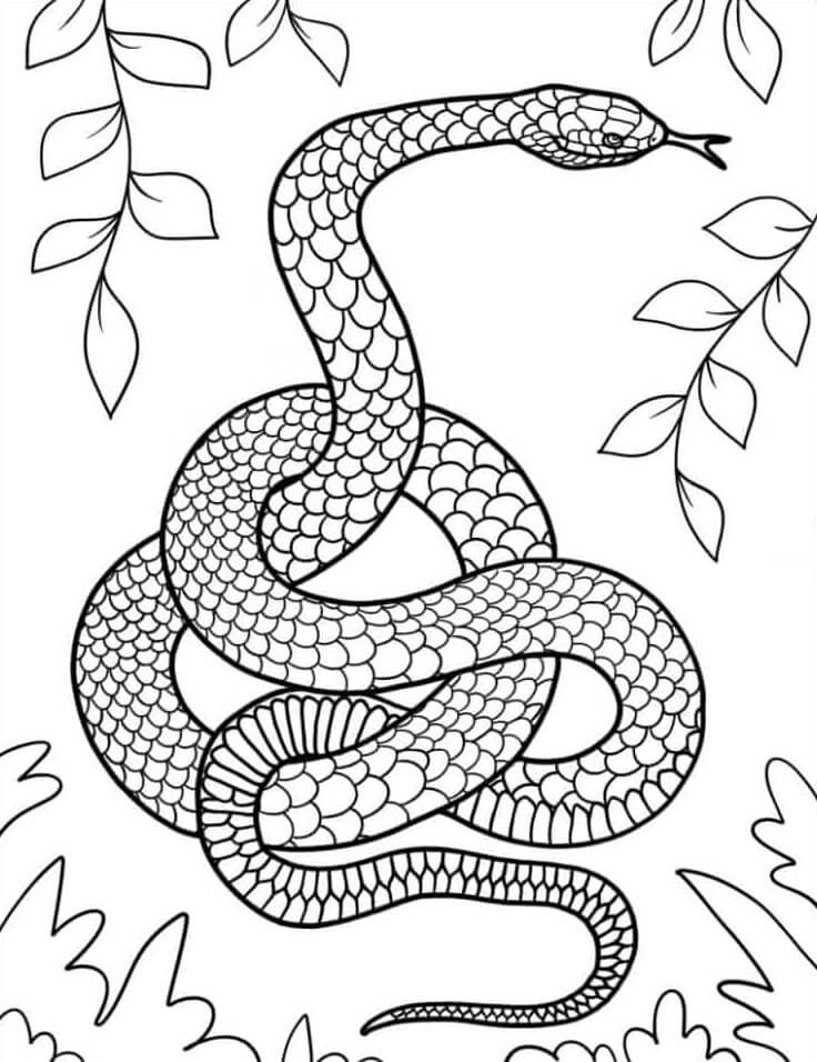 Kolorowanka Mandala Wąż Z Liśćmi