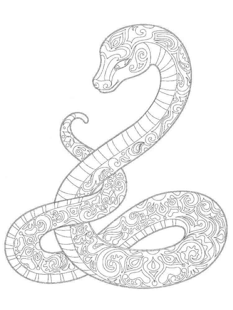 Kolorowanka Mandala Wolny Wąż