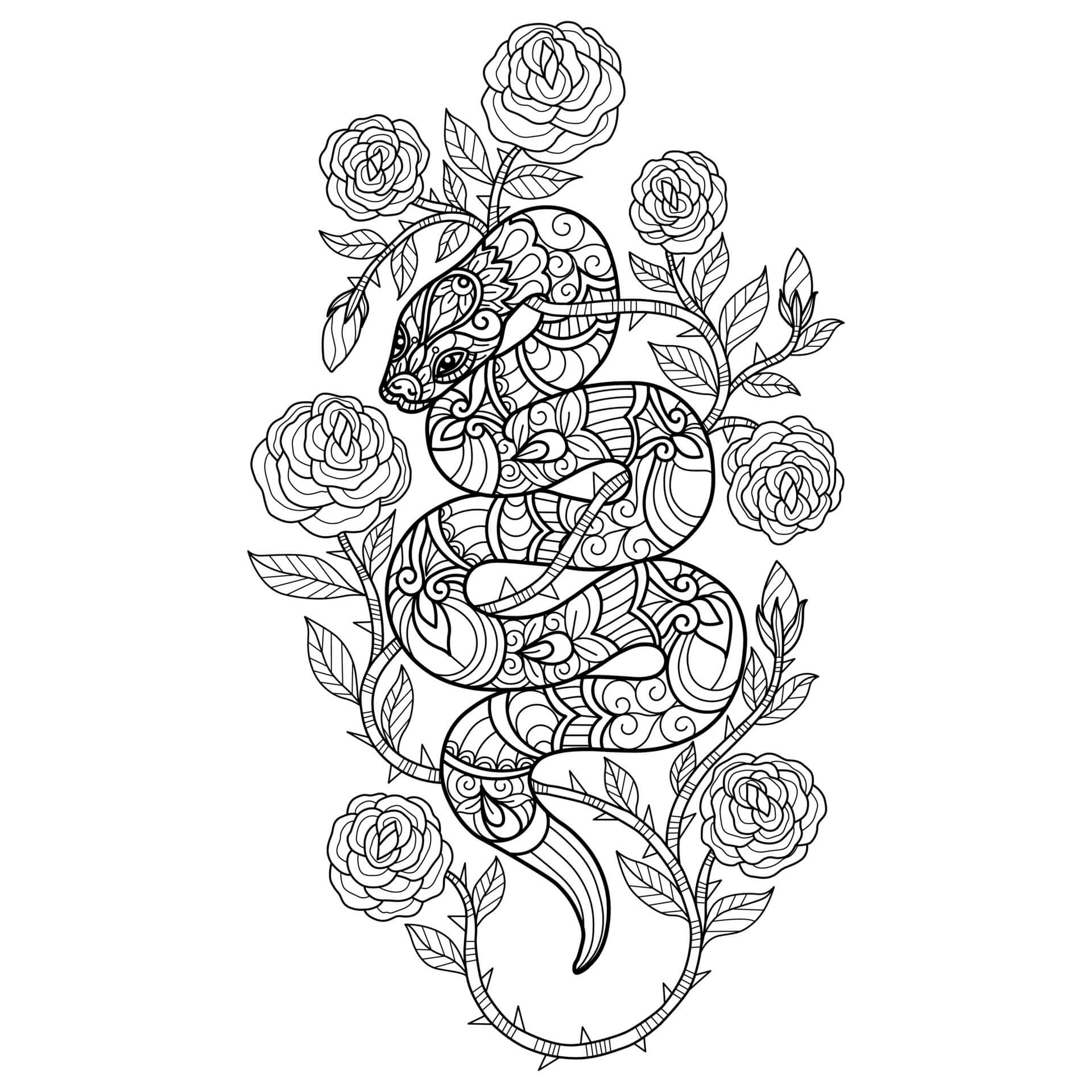Kolorowanka Wąż Mandala Z Drzewem Różanym