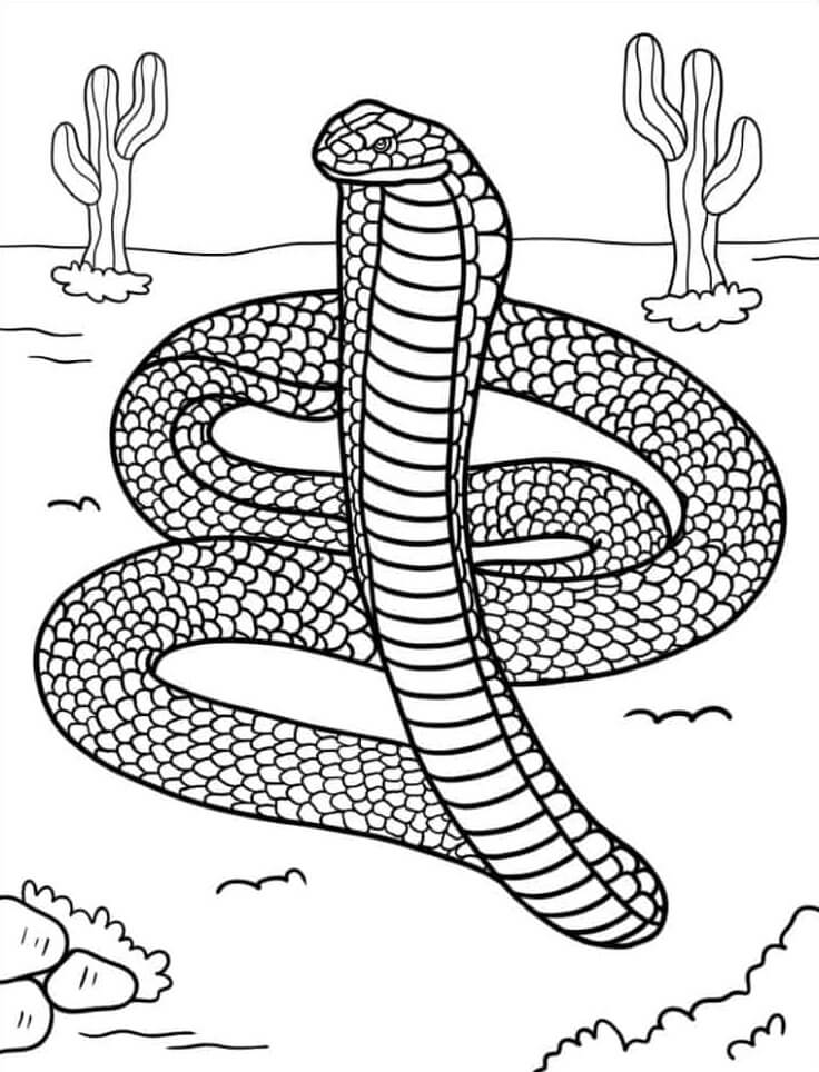 Kolorowanka Węże Mandala Na Pustyni