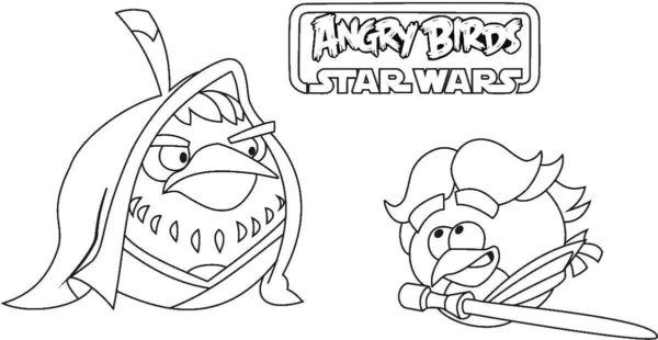 Kolorowanka Dwa Ptaki z Angry Birds Star Wars