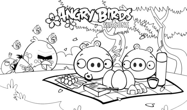 Kolorowanki Piknik Angry Birds