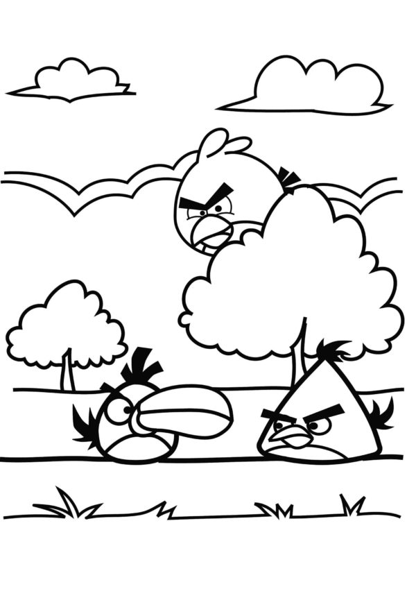 Kolorowanka Trzy Postacie z Angry Birds