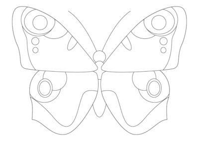 Kolorowanka Motyl z Pięknymi Skrzydłami